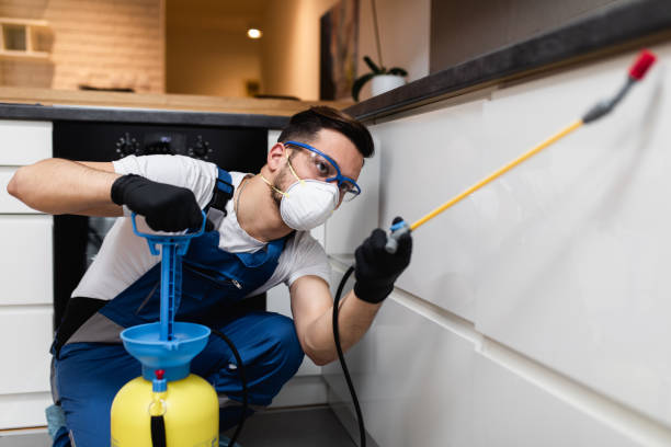 Best Local Pest Control Services  in Prces Lakes, IN