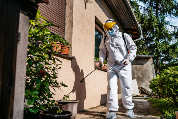 Best Wasp Removal Services  in Prces Lakes, IN