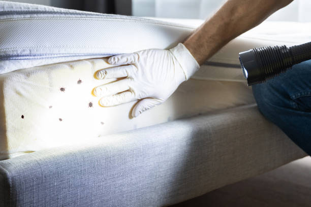 Pest Prevention Services in Princes Lakes, IN