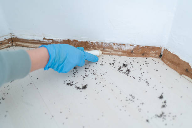 Insect Control in Princes Lakes, IN