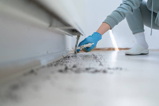 Best Ant Control Services  in Prces Lakes, IN